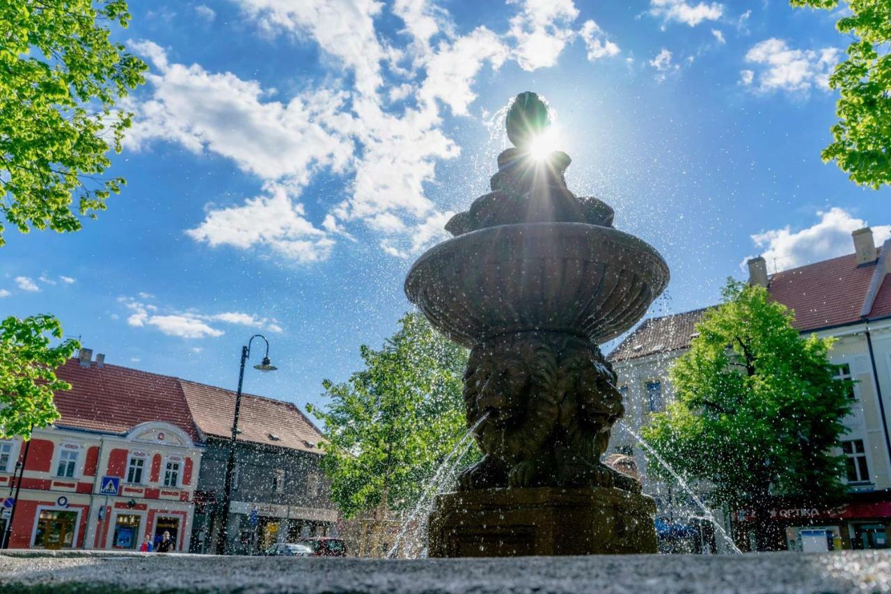Penzion Homér Slaný Exterior foto